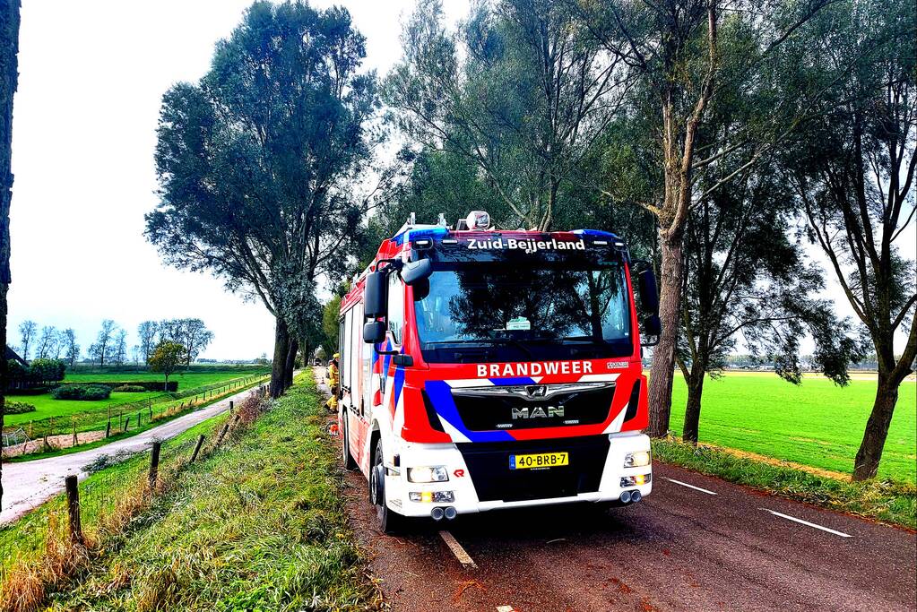 Brandweer verwijdert gevaarlijke hangende tak