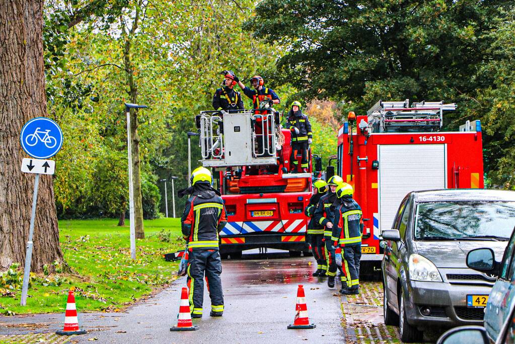Takken dreigen op woning en fietspad te vallen