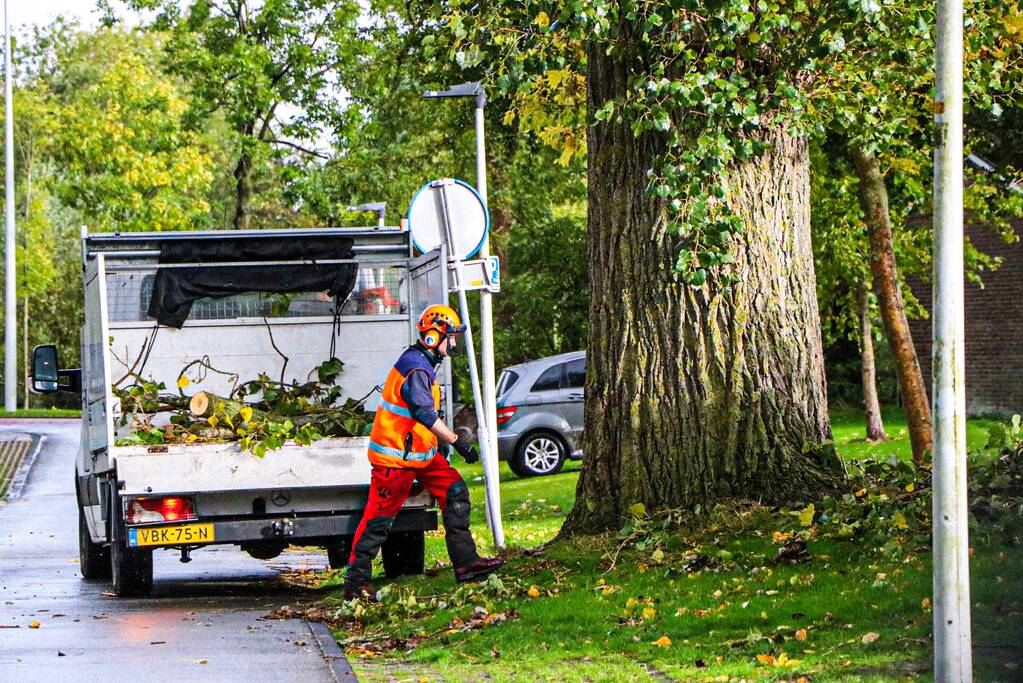 Takken dreigen op woning en fietspad te vallen