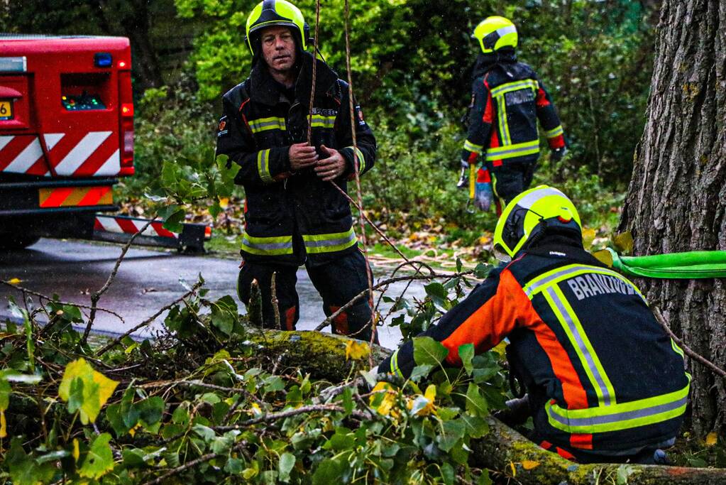 Takken dreigen op woning en fietspad te vallen