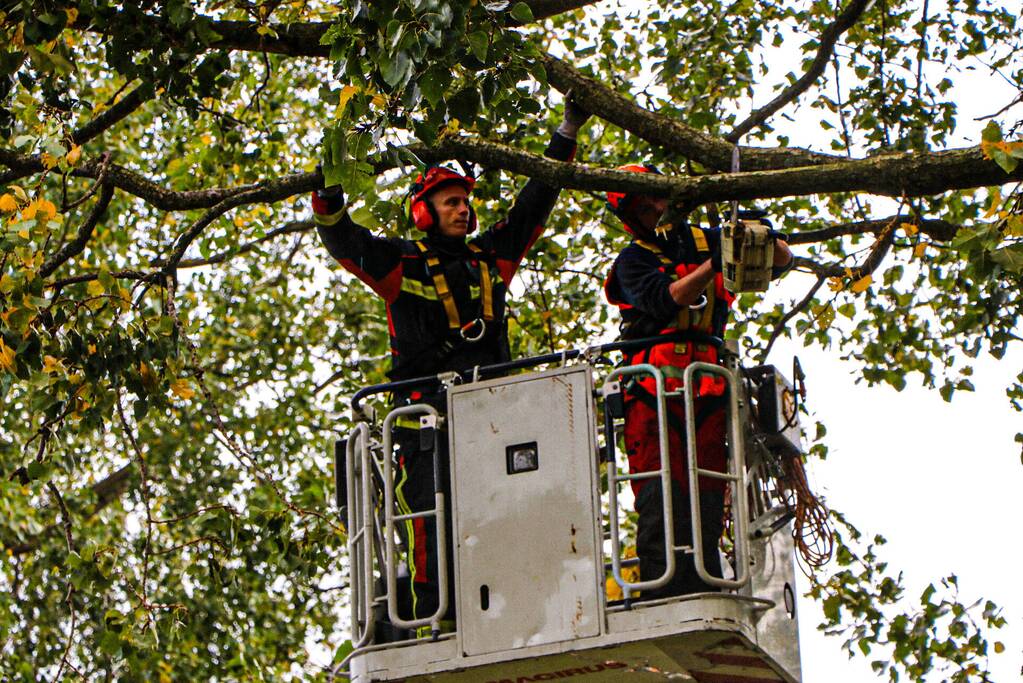 Takken dreigen op woning en fietspad te vallen