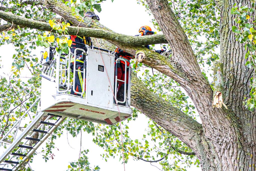 Takken dreigen op woning en fietspad te vallen