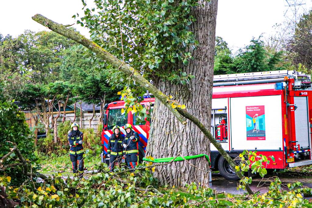 Takken dreigen op woning en fietspad te vallen