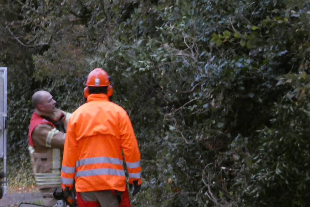 Brandweer zaagt boom om