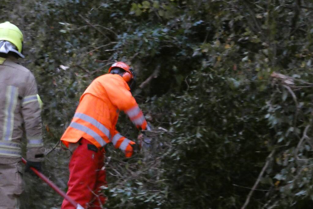 Brandweer zaagt boom om