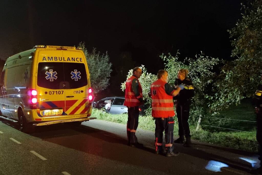 Bestuurder onder invloed belandt in berm