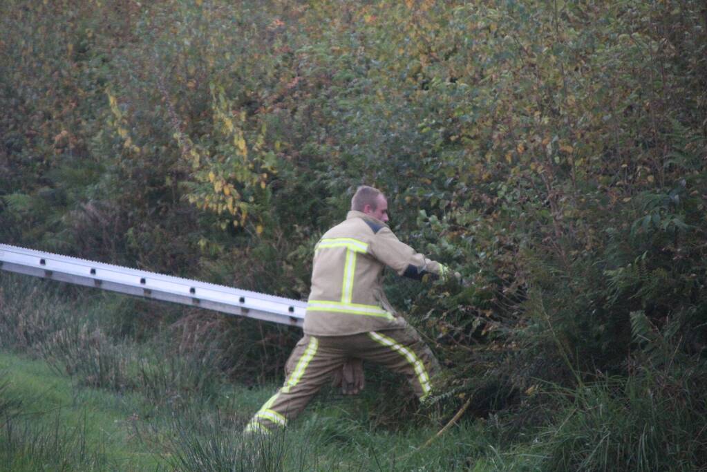 Brandweer blust brandende takken in bos