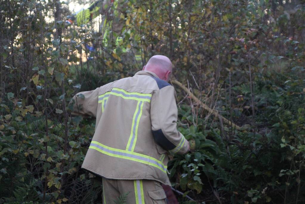 Brandweer blust brandende takken in bos