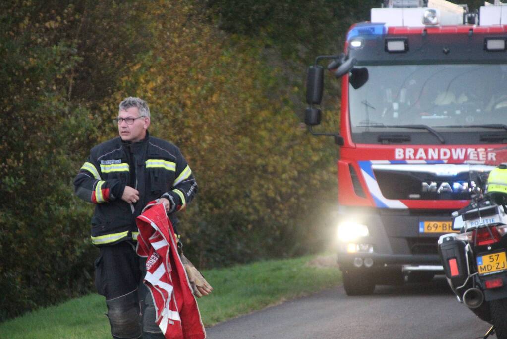 Brandweer blust brandende takken in bos