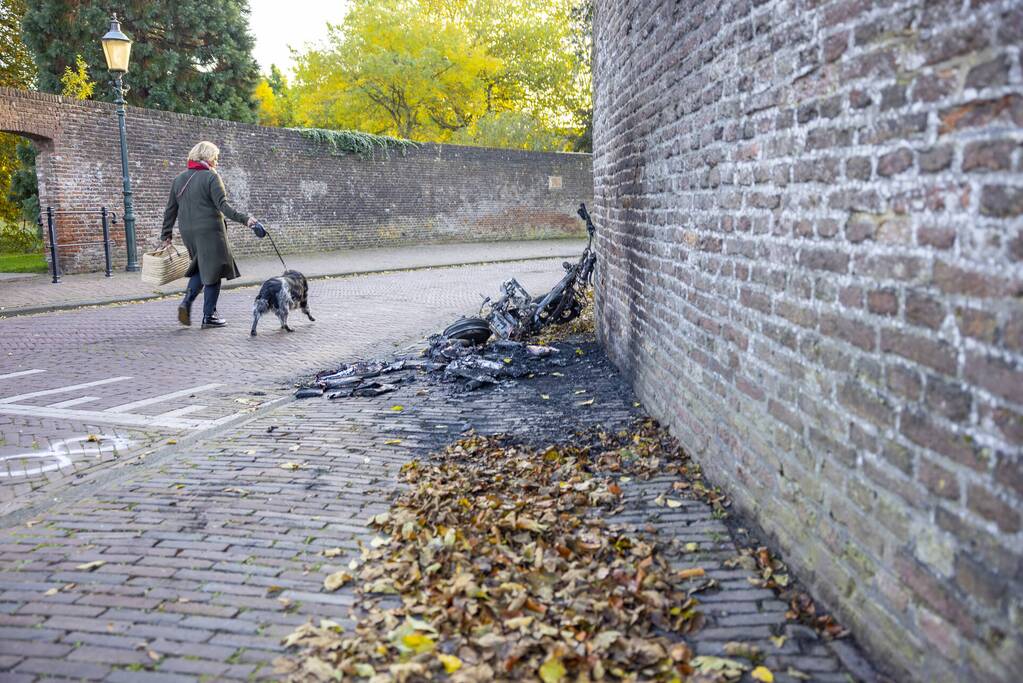 Twee Go-Sharing-deelscooters in vlammen opgegaan