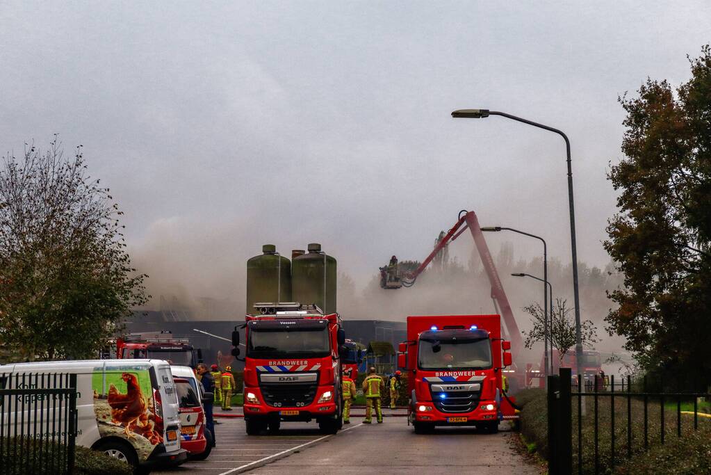 Brand in leegstaande kippenstal