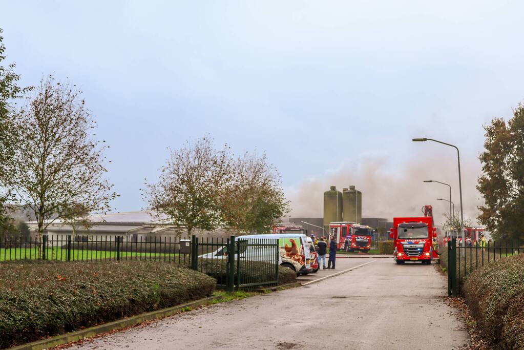 Brand in leegstaande kippenstal