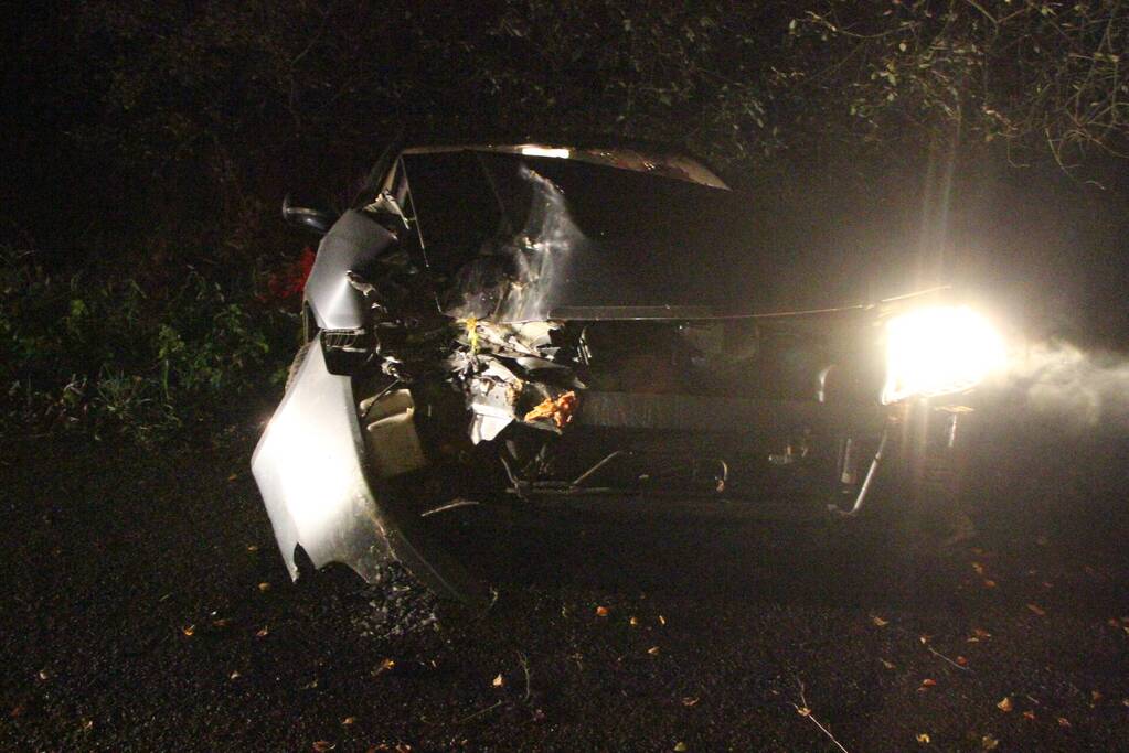 Auto in greppel na botsing met boom