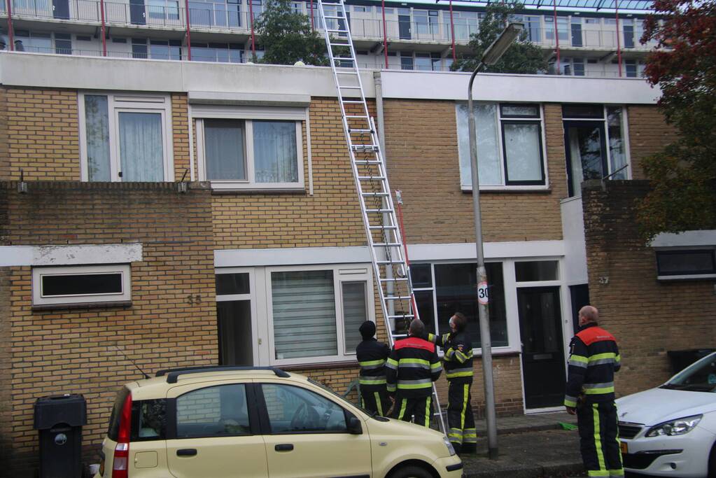 Vogel bevrijdt uit schoorsteenpijp