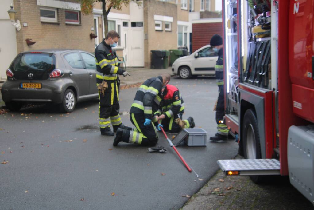Vogel bevrijdt uit schoorsteenpijp