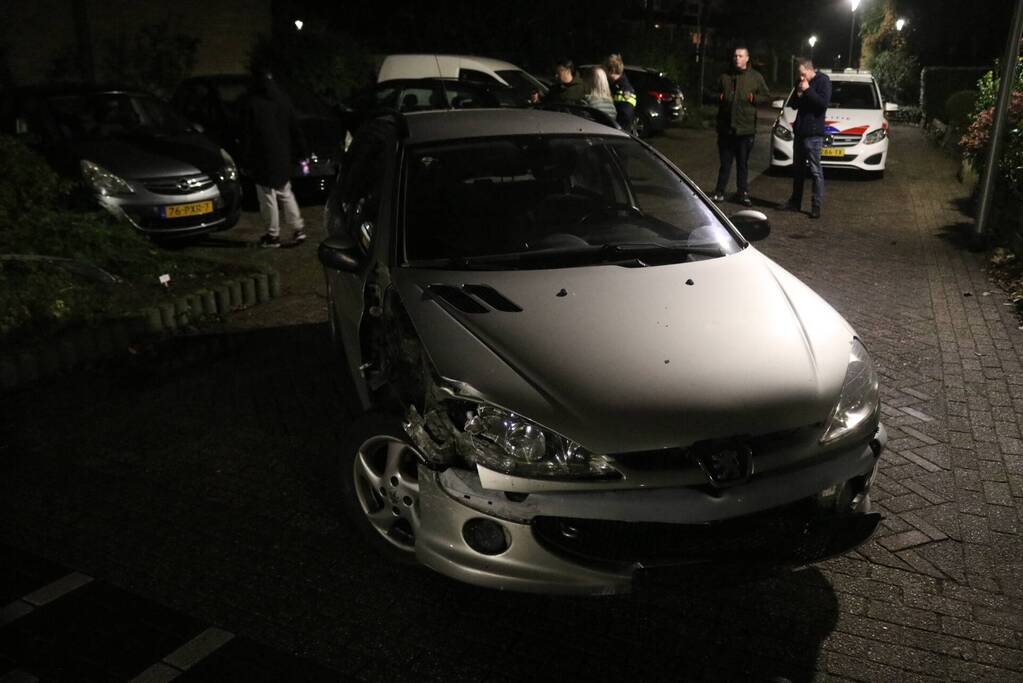 Beschonken bestuurder richt forse schade aan