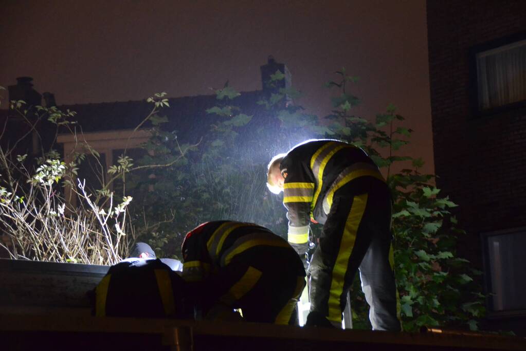 Kat vast tussen muur