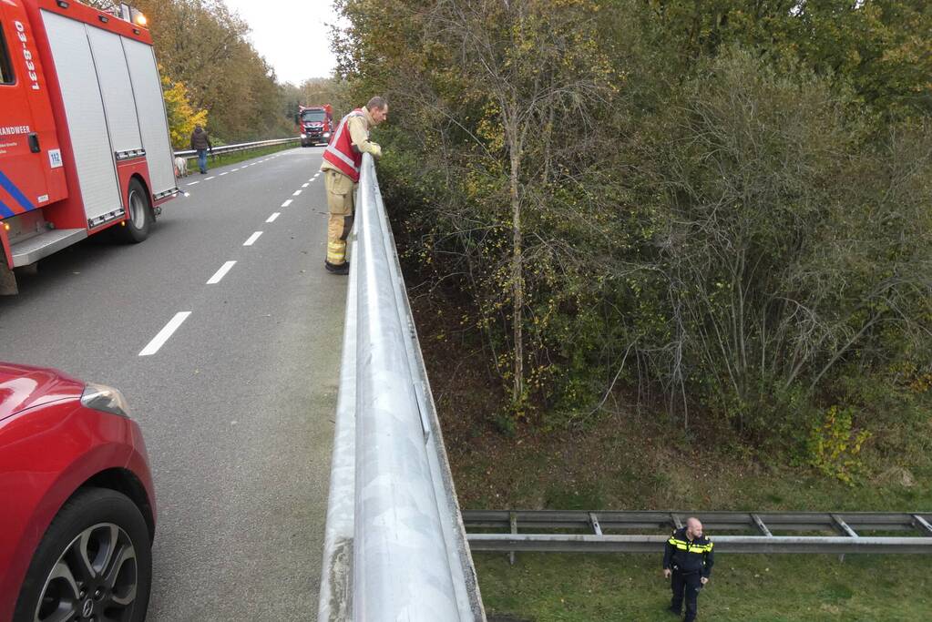 Brandweer blust brand naast snelweg