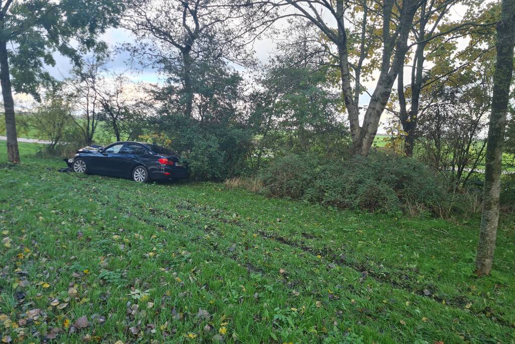 Bestuurder verliest macht over stuur en raakt boom