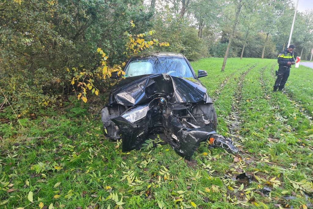 Bestuurder verliest macht over stuur en raakt boom