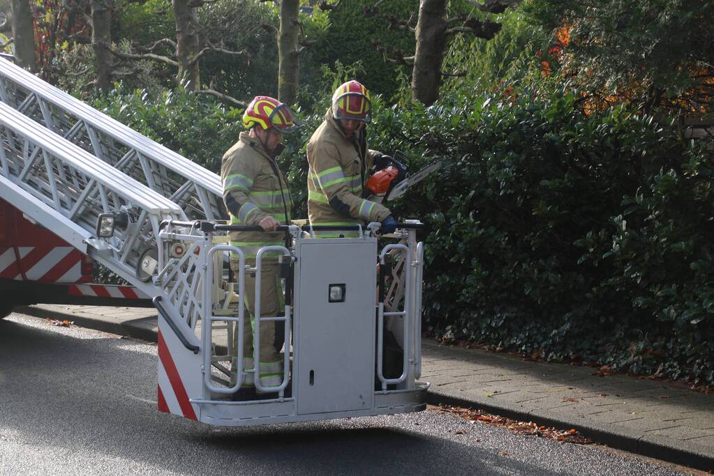 Brandweer zaagt loshangende takken uit boom
