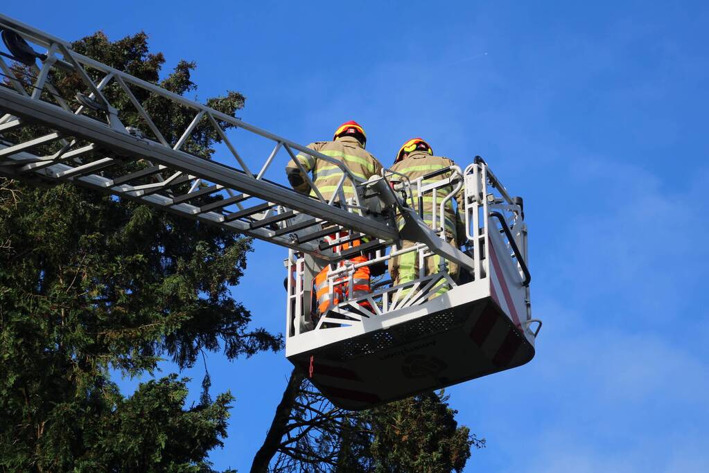 Brandweer zaagt loshangende takken uit boom