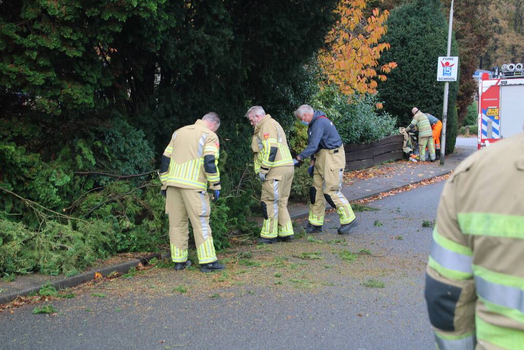 Brandweer zaagt loshangende takken uit boom