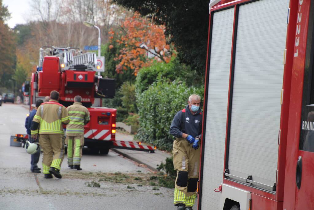 Brandweer zaagt loshangende takken uit boom