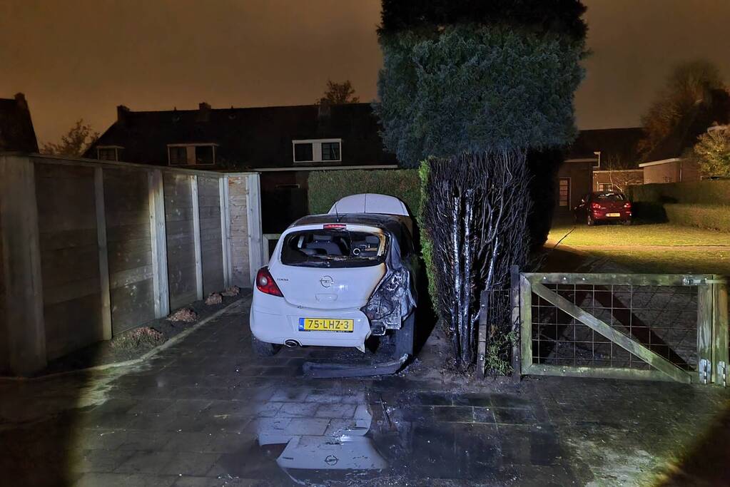 Veel schade aan auto en coniferenhaag na brand