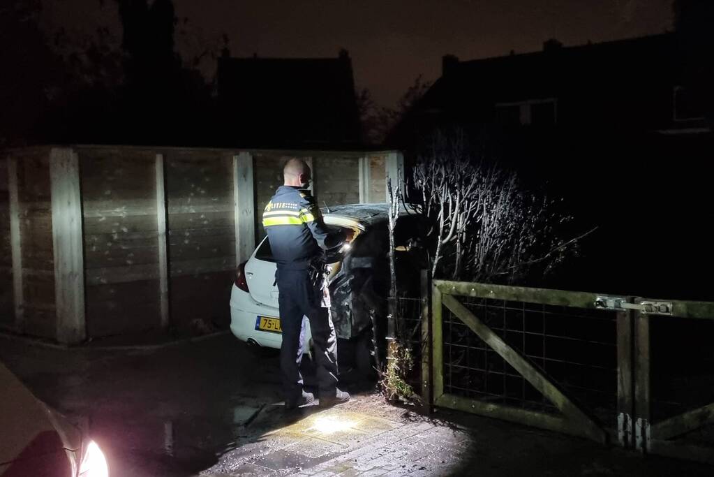 Veel schade aan auto en coniferenhaag na brand