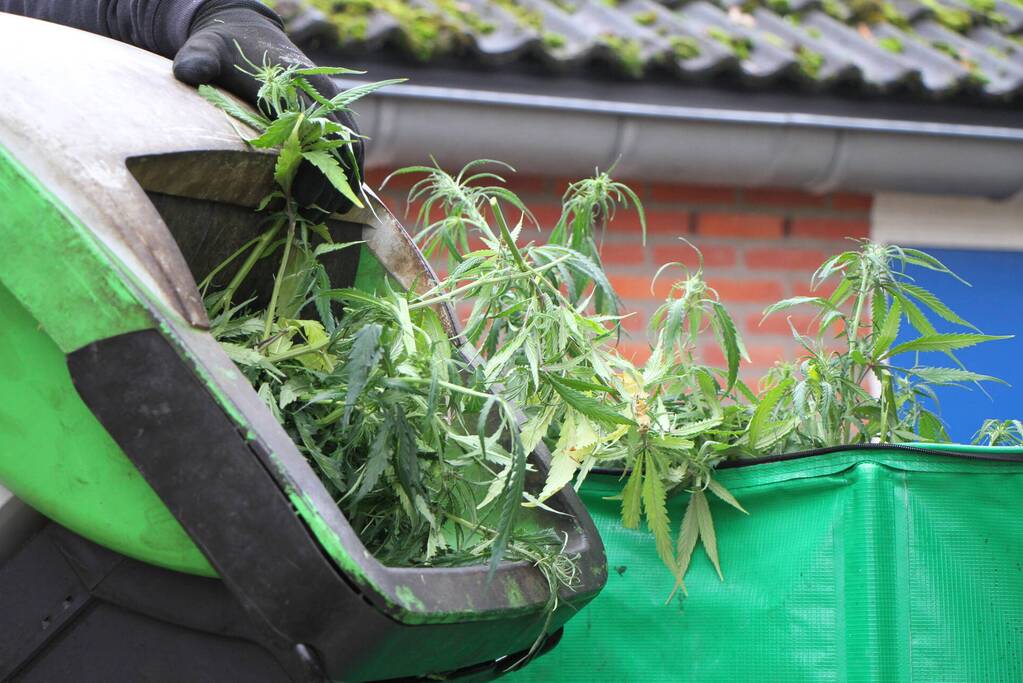 Hennepkwekerij opgerold: een aanhouding