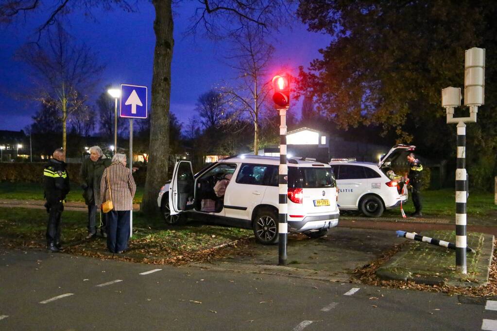 Automobilist rijdt paal omver en botst tegen boom