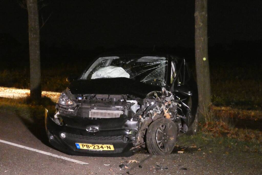 Auto raakt van de weg en botst tegen boom