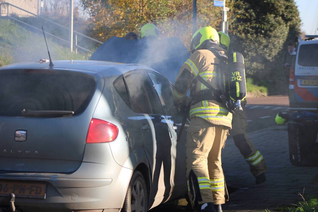 Auto total-loss door brand