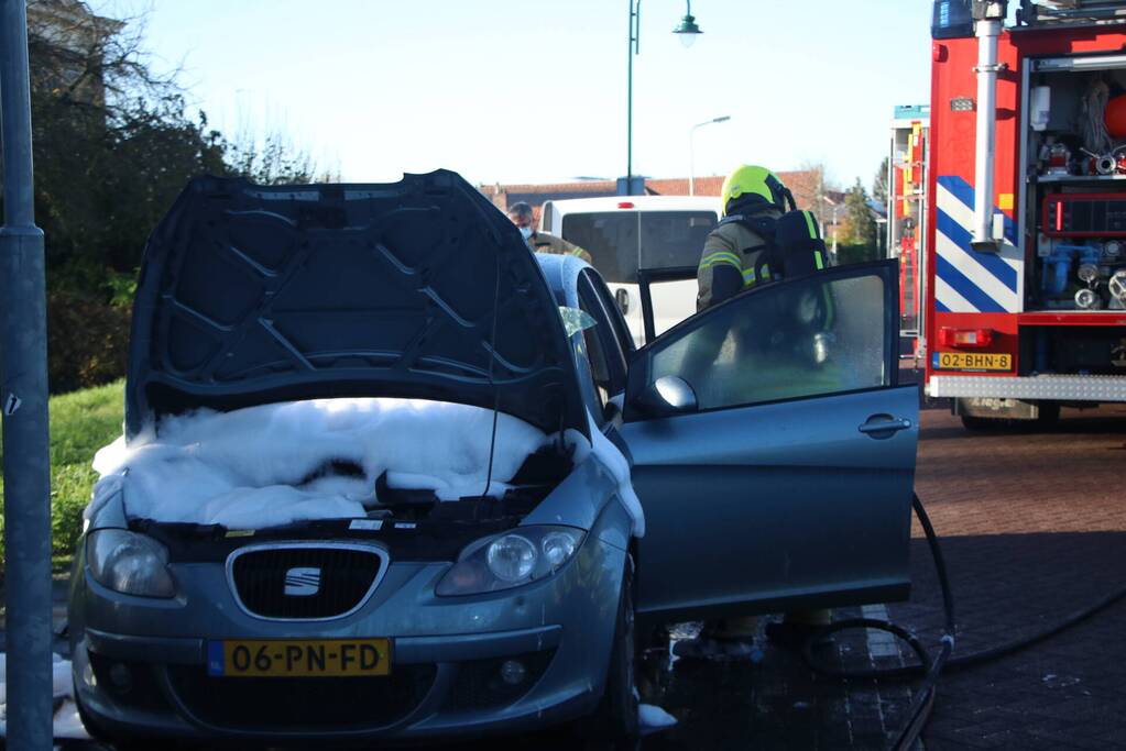 Auto total-loss door brand