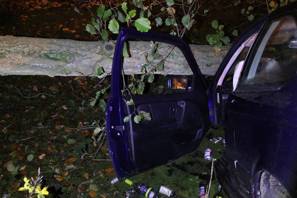 Auto botst tegen boom en belandt in sloot