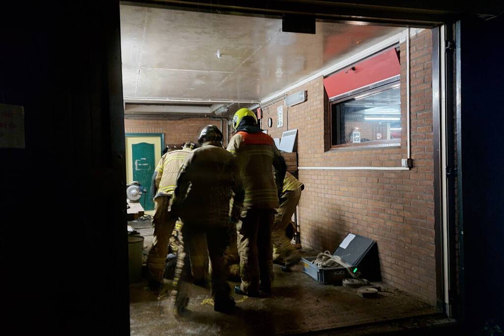 Paard overleden na val in put