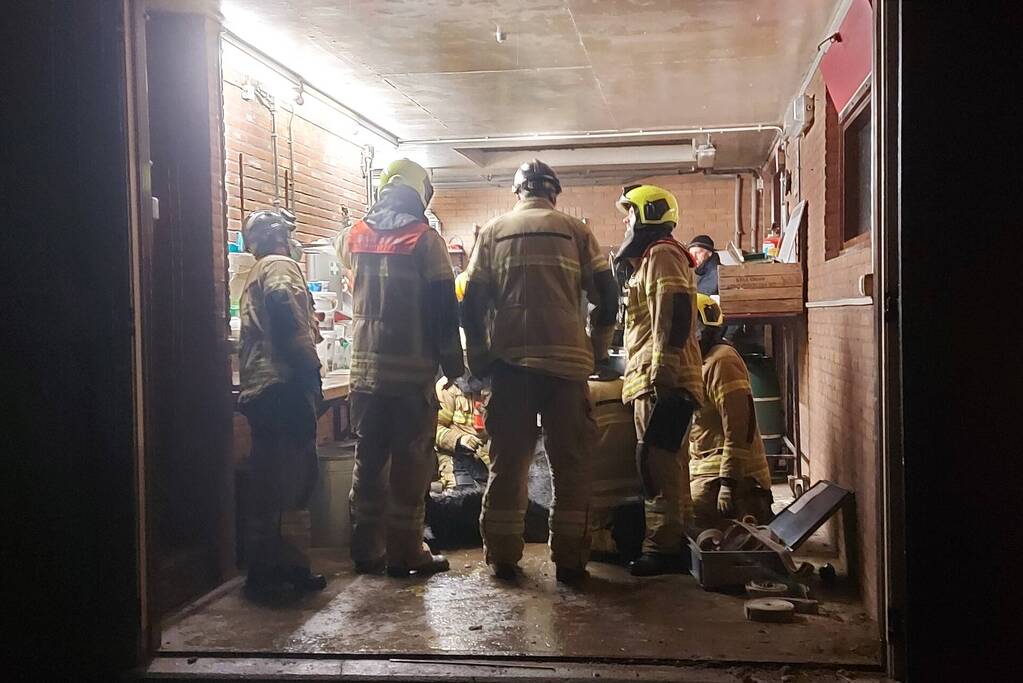 Paard overleden na val in put