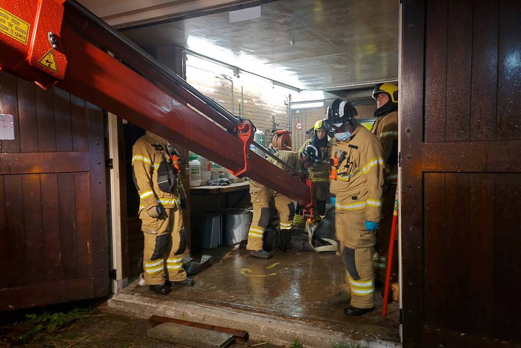 Paard overleden na val in put