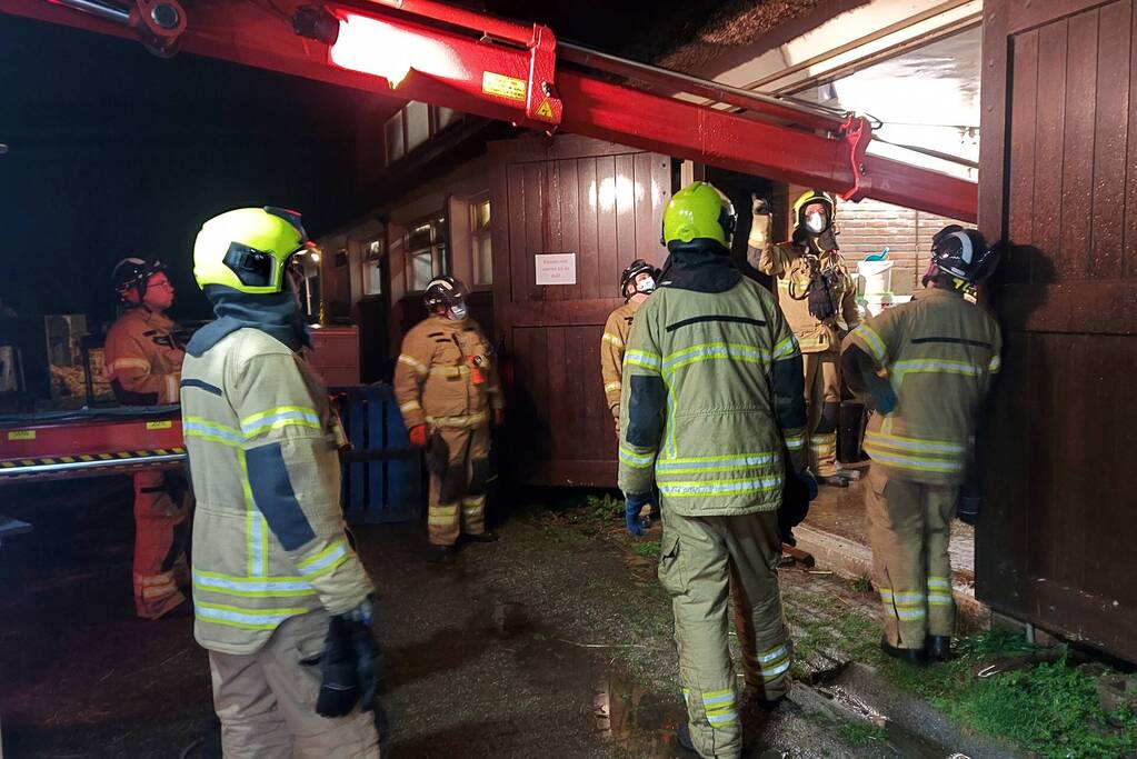 Paard overleden na val in put