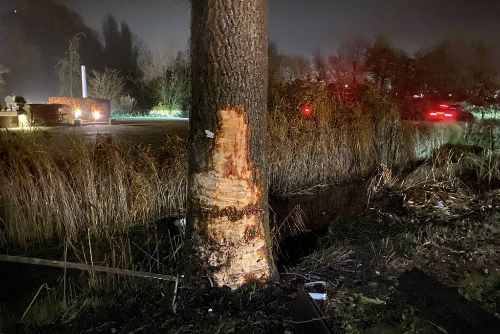 Auto knalt met hoge snelheid tegen meerdere bomen