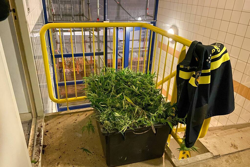 Hennepkwekerij aangetroffen in appartement