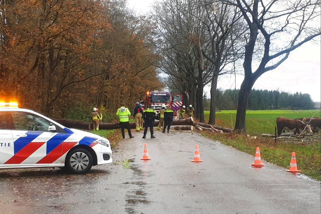 Weg geblokkeerd door omgevallen boom