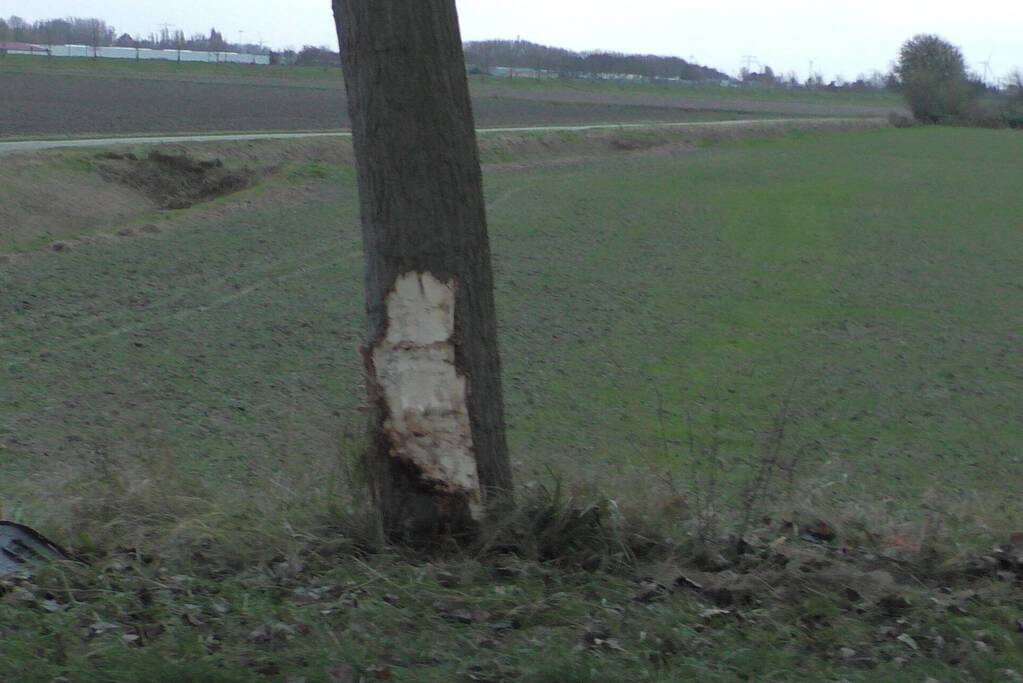 Zwaargewonde bij eenzijdig ongeval met boom