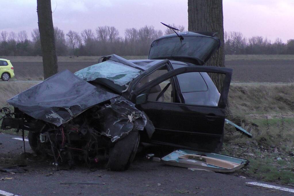 Zwaargewonde bij eenzijdig ongeval met boom