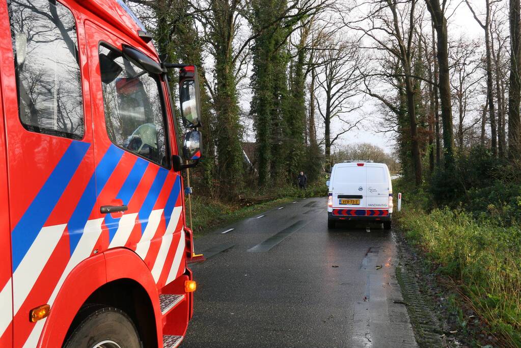 Omgewaaide boom verspert weg