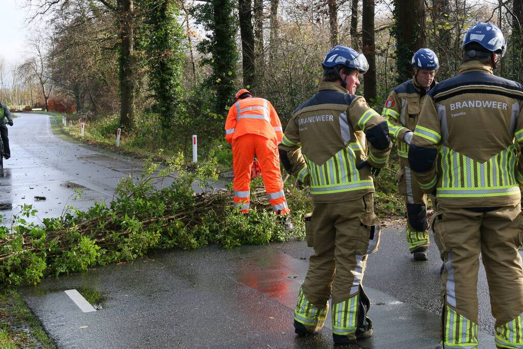 Omgewaaide boom verspert weg
