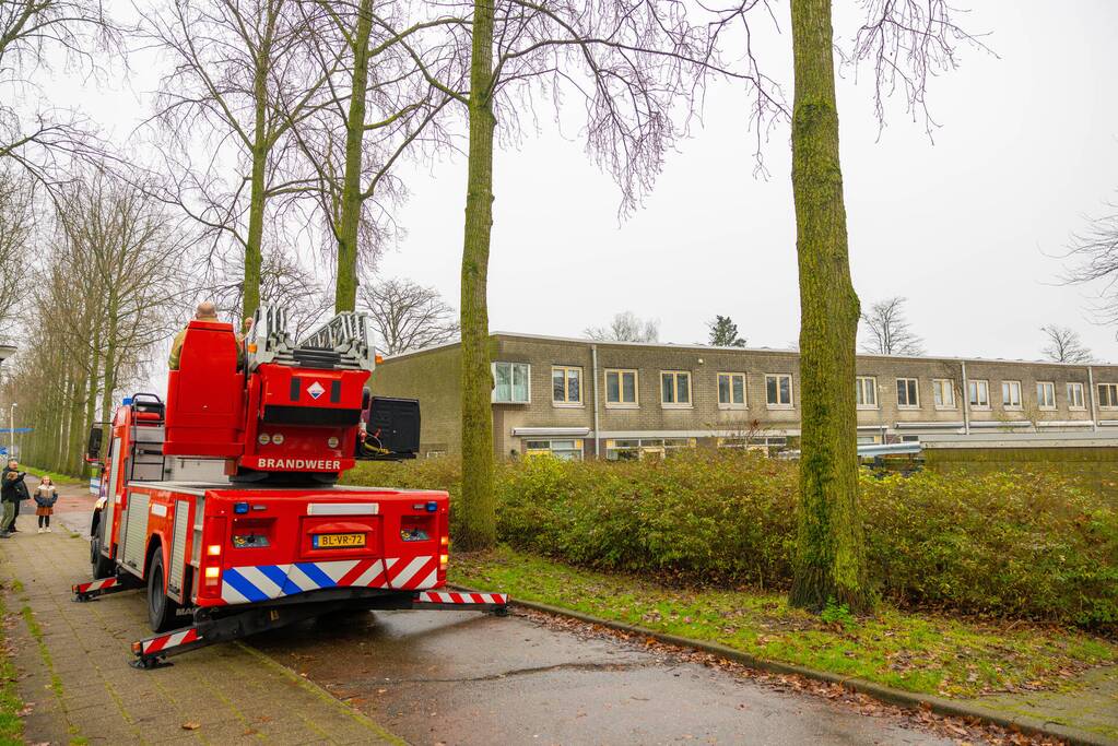 Kat vlucht dak op voor brandweer