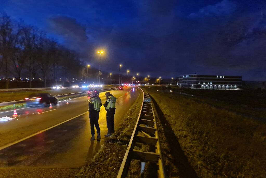 Zwaan aangereden op snelweg