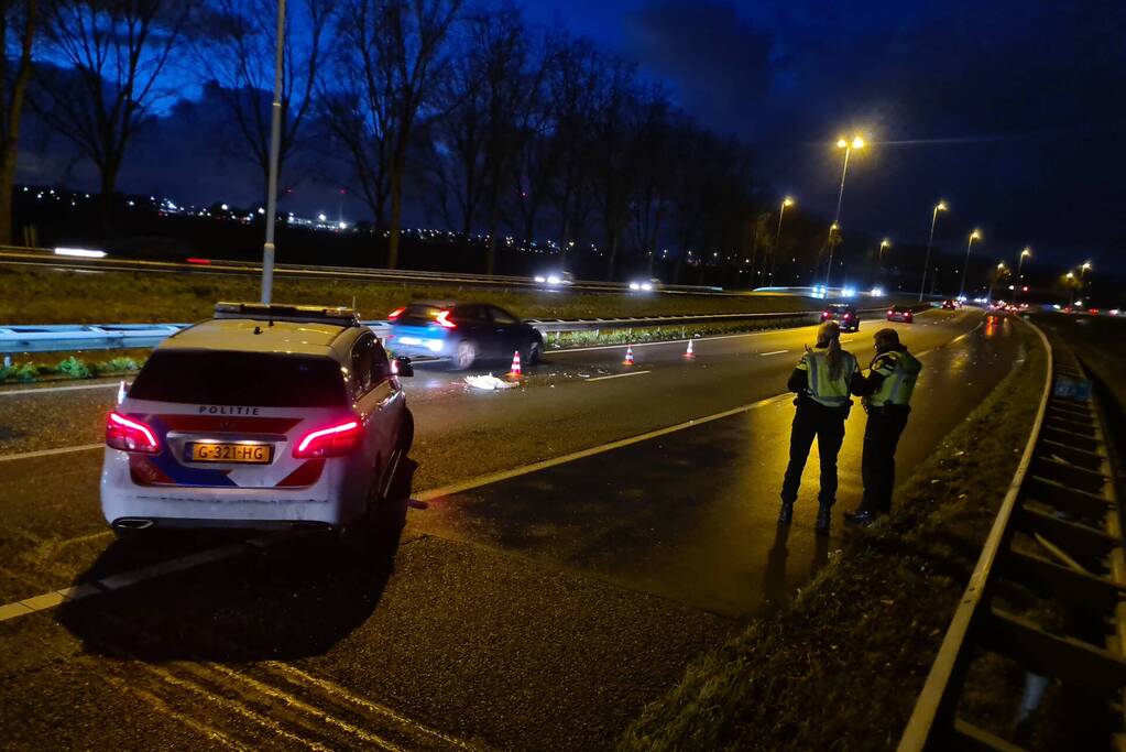 Zwaan aangereden op snelweg
